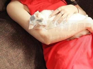 青豆客 – 莫雅淇泳装：高清美图戳中你的心，别说我没提醒过你！